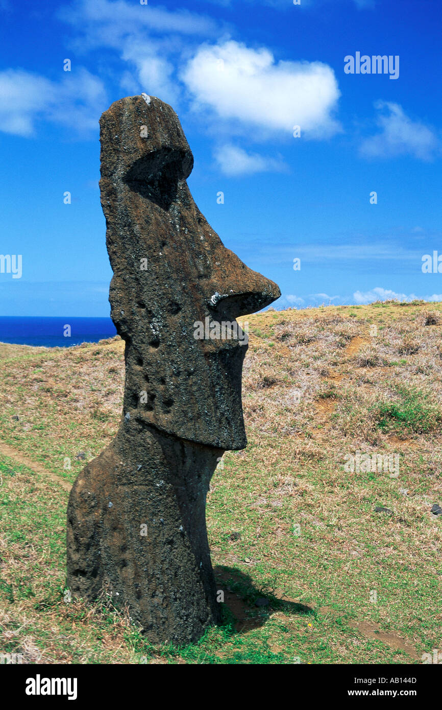 Moai-Statue Rano Raraku Osterinsel Südpazifik Stockfoto