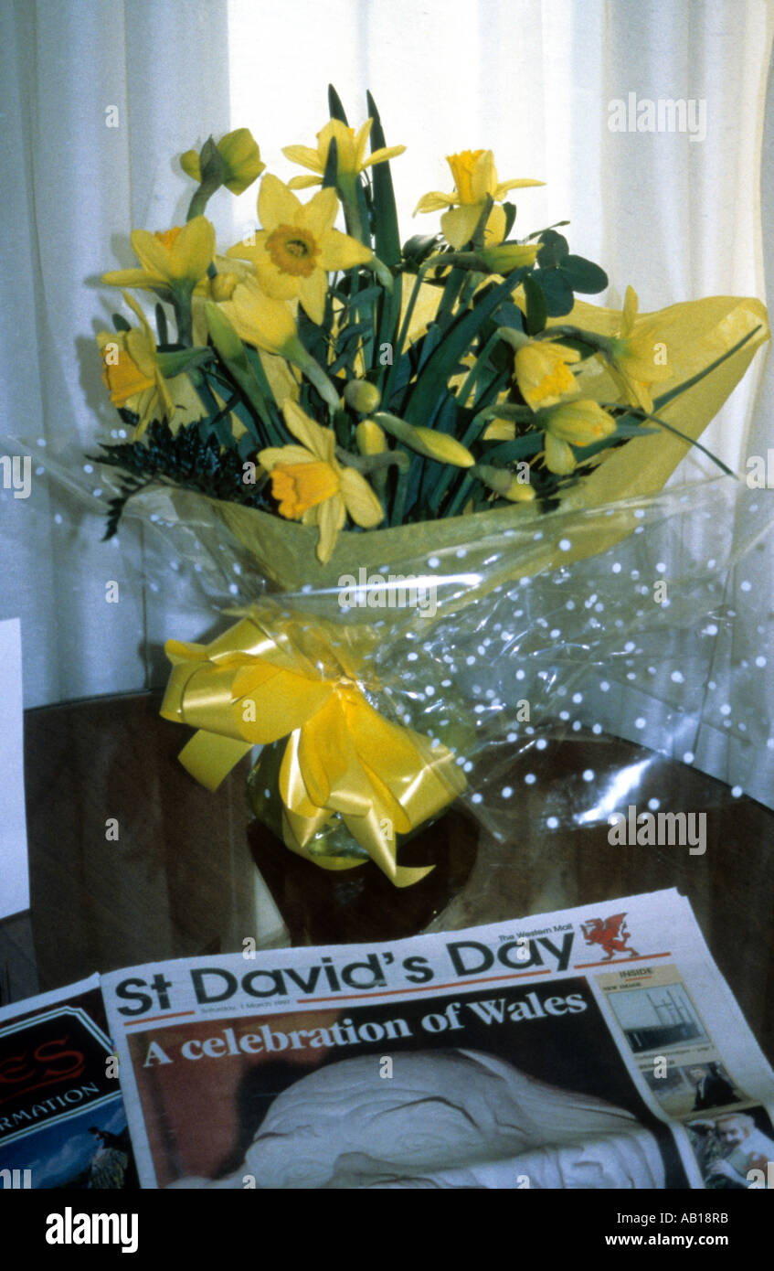 Geschenk verpackt Narzissen für den 1. März, Saint David der "Tag, Wales – mit Zeitung Datumsgrenze Stockfoto