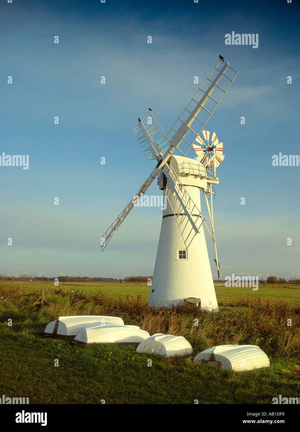 Thurne Dyke Windpumpe in den Norfolk Broads England UK Stockfoto