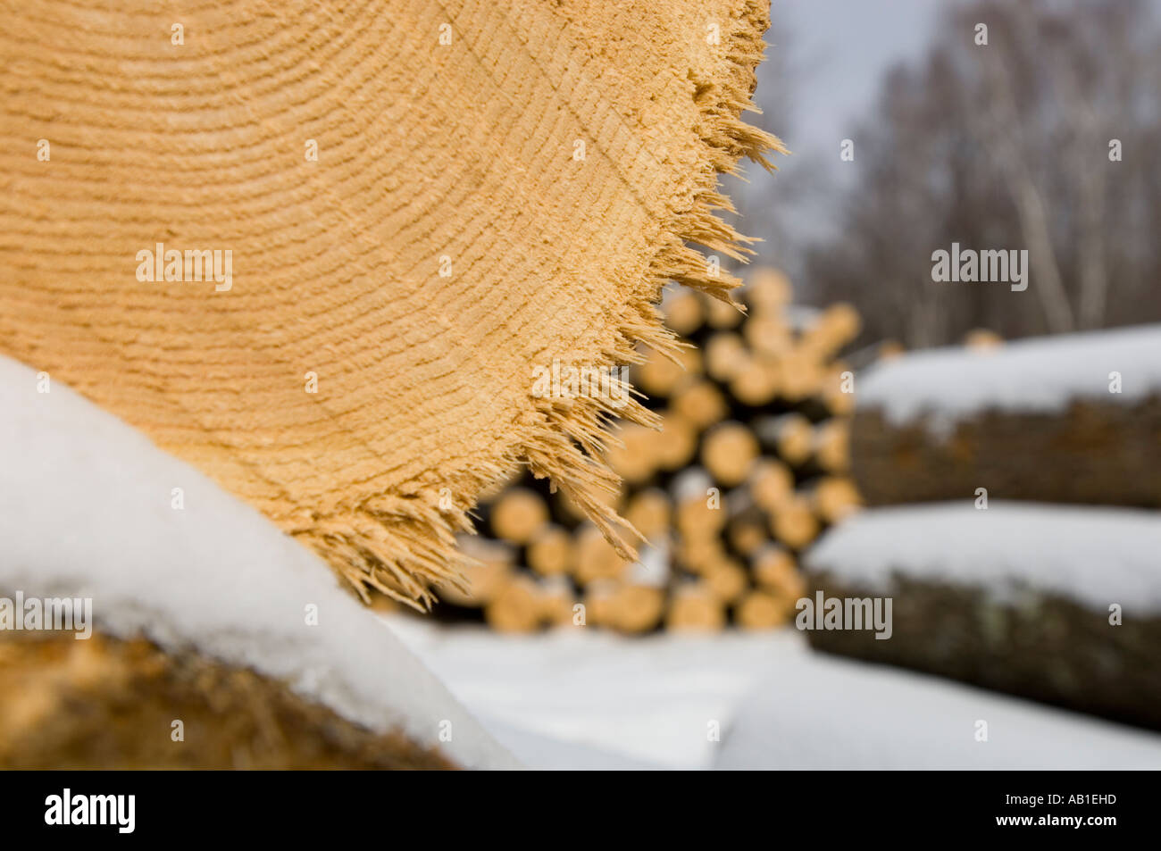 EIN SCHNITT PROTOKOLL MIT ZERSPLITTERTEN RAND Stockfoto