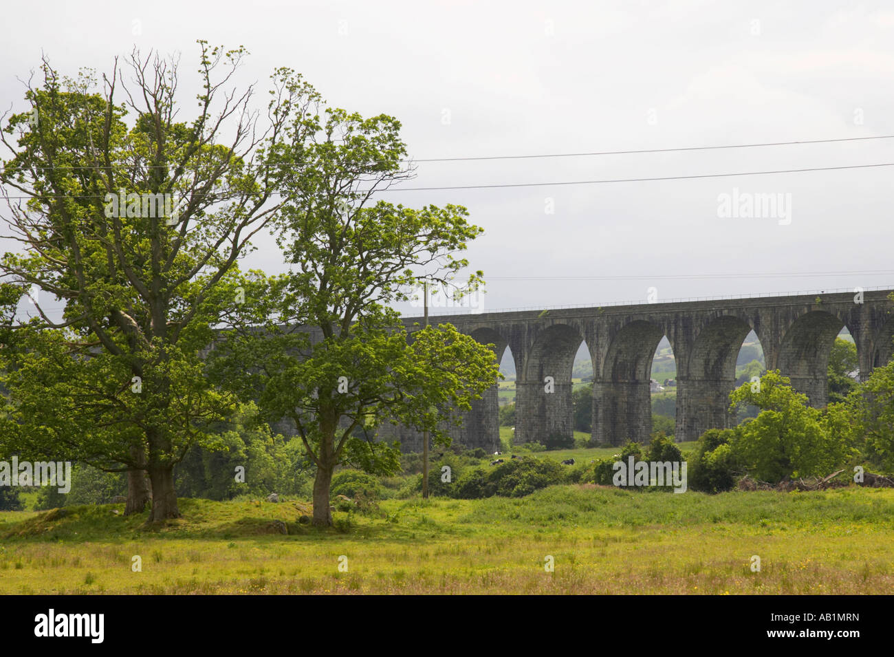 Craigmore Viadukt teilweise verdeckt durch Bäume in Ackerland Stockfoto