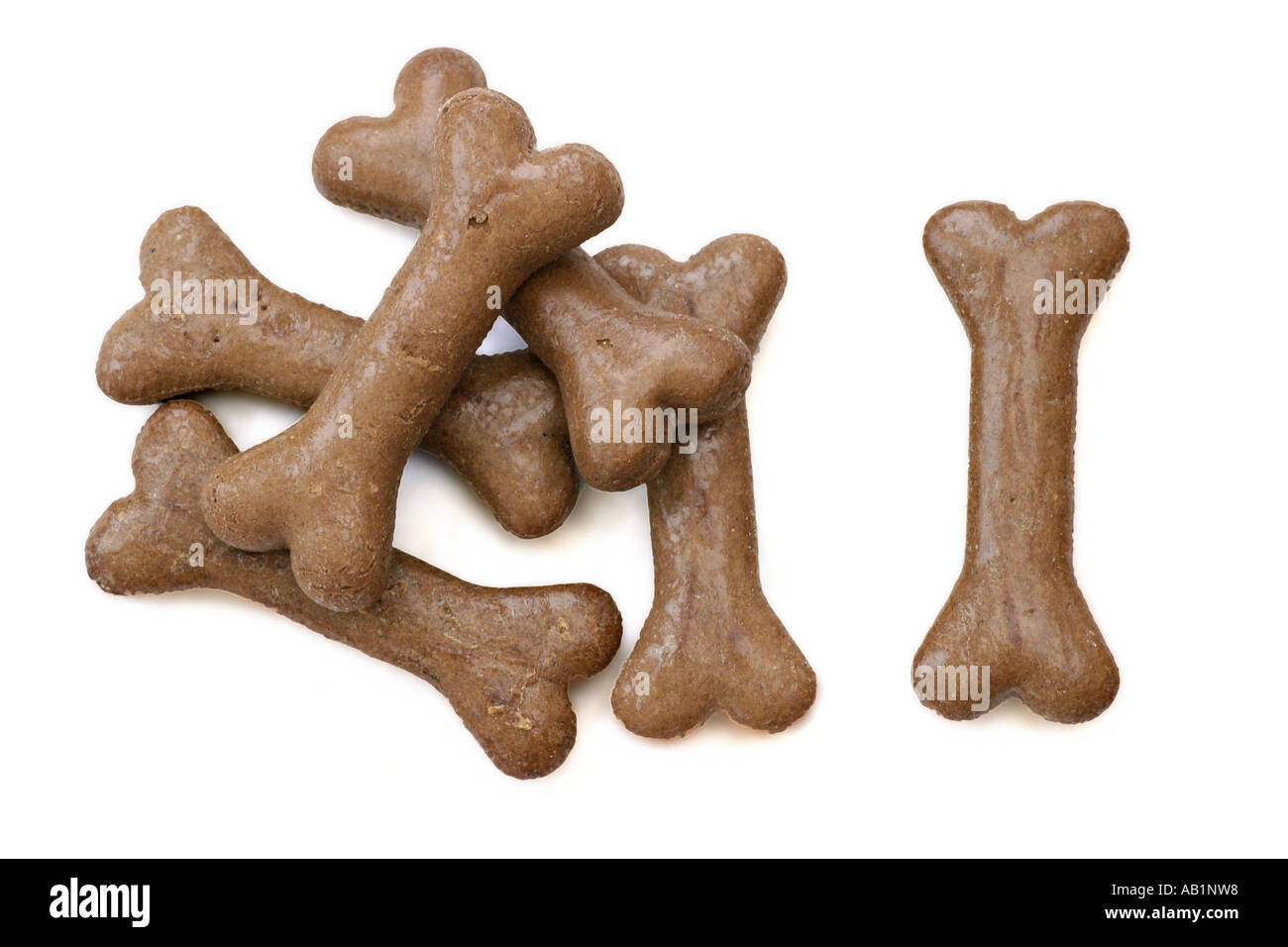 Hundekuchen Stockfoto