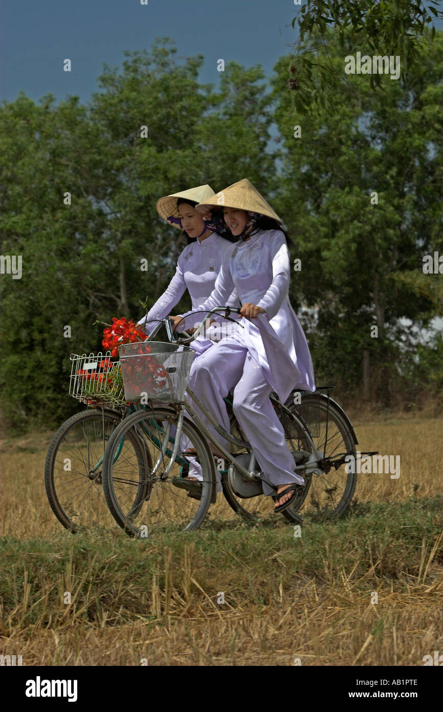 Zwei junge Frauen in konische Hüte und traditionellen weißen Ao Dai Kostüm Fahrt Fahrräder auf Pfad Reisfeldern in der Nähe von Phan Thiet-Vietnam Stockfoto