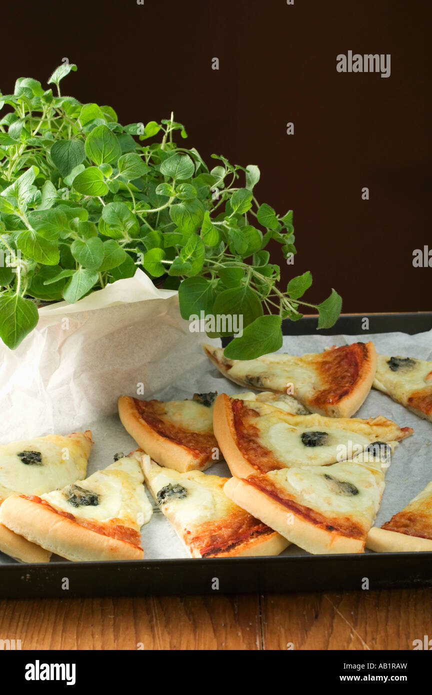 Mehrere Scheiben von amerikanischen Stil drei Käse Pizza Oregano FoodCollection Stockfoto