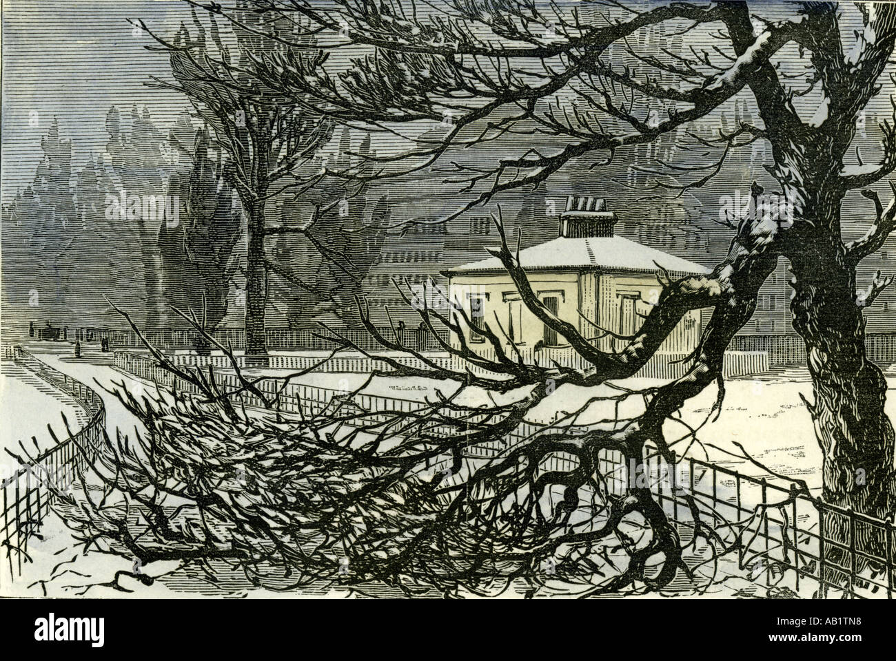 Kensington Gardens London 1887 Schäden an Bäumen in der Nähe von Queen s Gate UK Stockfoto