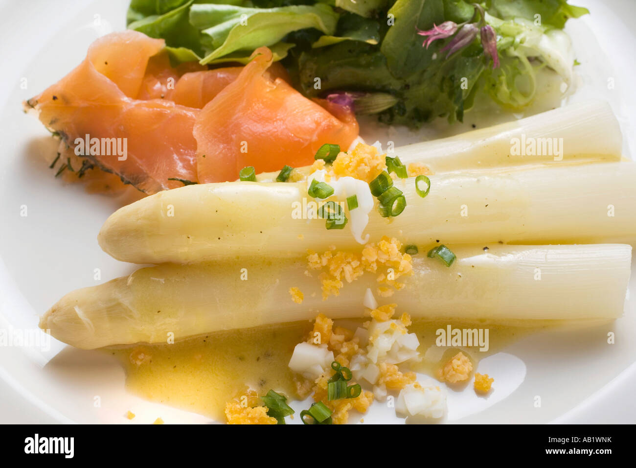 Weißer Spargel mit geräuchertem Lachs Ei sauce Salatblätter FoodCollection Stockfoto
