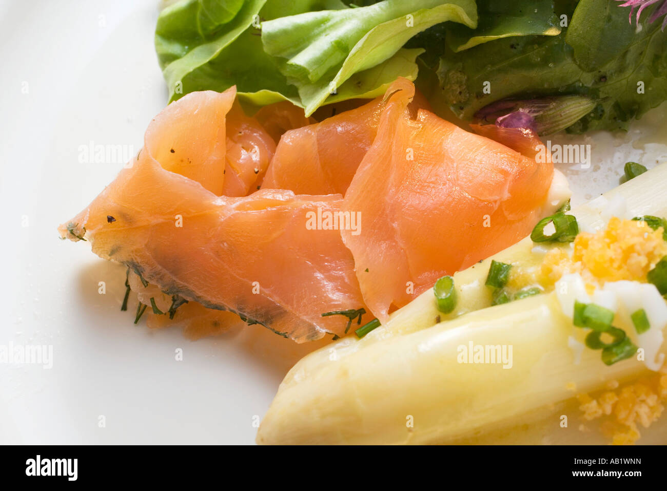 Weißer Spargel mit geräuchertem Lachs Ei sauce Salatblätter FoodCollection Stockfoto