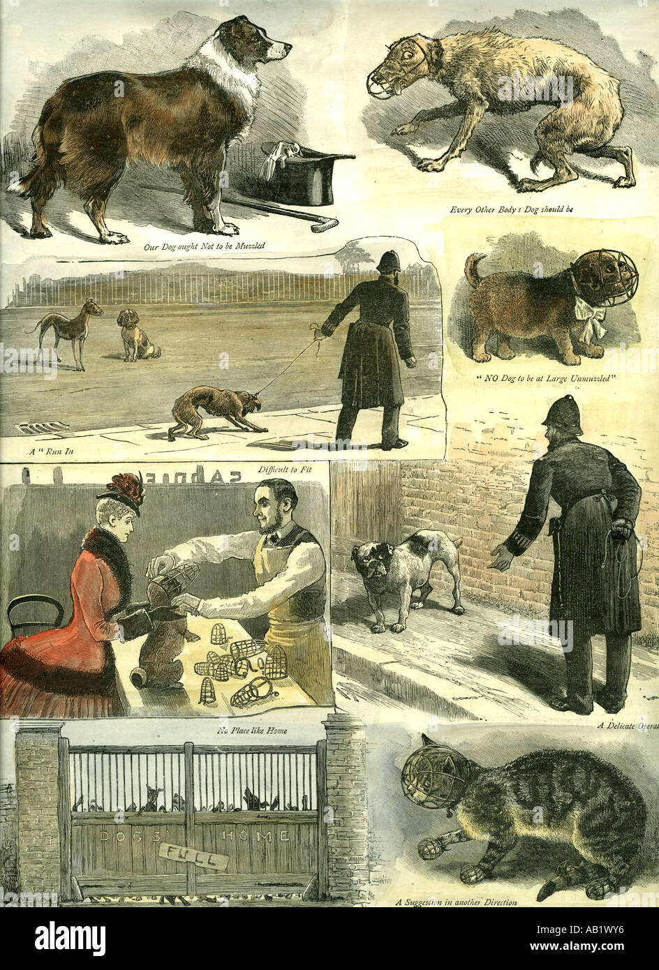 Hunde U K Polizeiverordnung 1885 Stockfoto