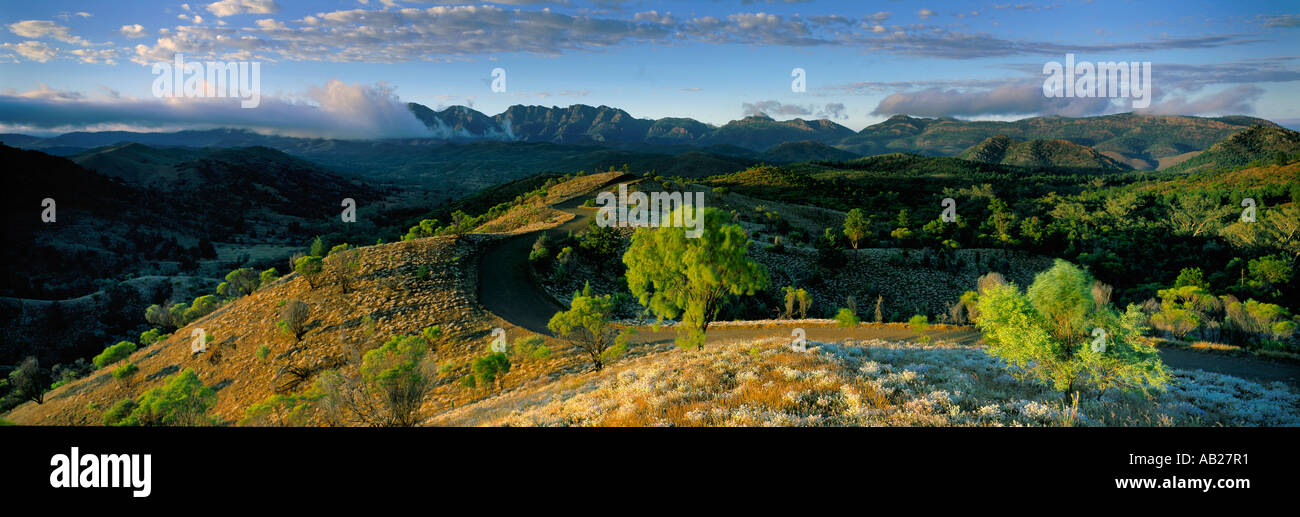 Feldweg oberhalb Bunyerro Schlucht Flinders reicht South Australia Australien Stockfoto