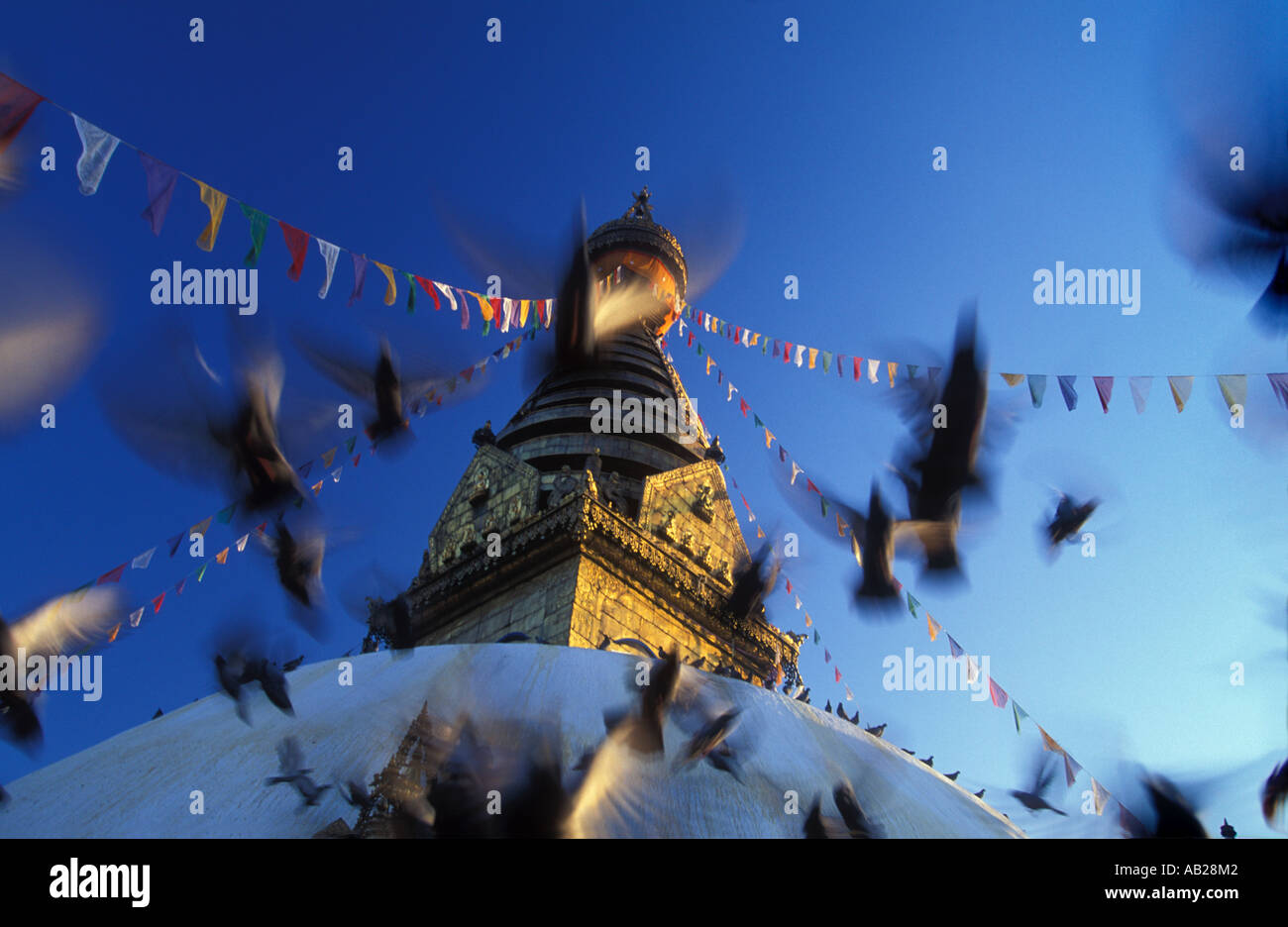 Morgendämmerung am Swayambhu Affentempel Kathmandu Nepal Stockfoto