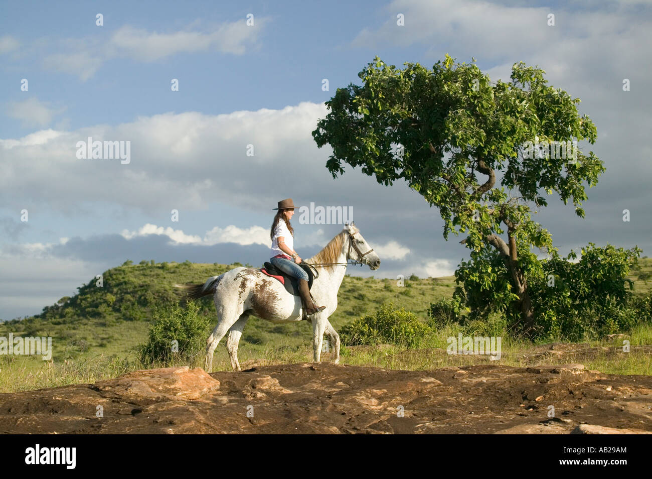 Weibliche Reiterin und Pferd Reiten mit Blick auf Lewa Wildlife Conservancy in Nord-Kenia-Afrika Stockfoto