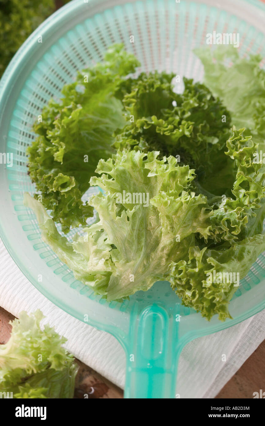 Lollo Biondo in Kunststoff Sieb Draufsicht FoodCollection Stockfoto