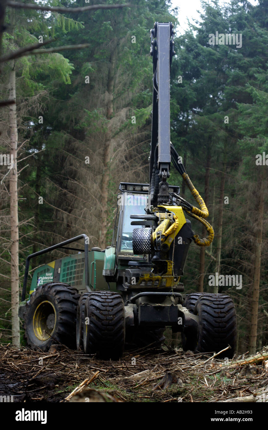 Produktivität in der Forstwirtschaft arbeiten ein-Mann-Betrieb bei der Umwandlung eines vollständigen Baumes in Protokolle Stockfoto