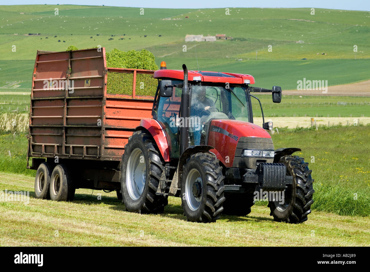 dh Case Traktor ORKNEY Silage Traktor und Grass trailer Case Traktoren Winterfutter Ernte Stockfoto