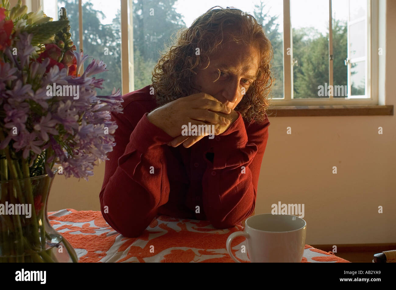 Hollywood Regisseur Luis Mandoki gezeigt in seinem Haus in Mexiko-Stadt Stockfoto