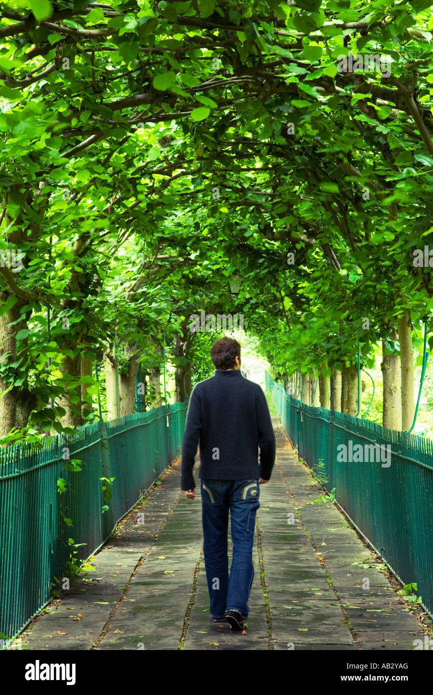 Mann 25 30 zu Fuß durch den Baum gesäumt Birdcage Walk Clifton Bristol England Stockfoto