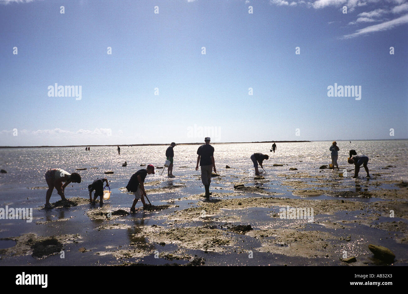 Französische Urlauber sammeln Muscheln bei niedrigen Gezeiten in der Nähe von Locmariaquer, Süden der Bretagne, Frankreich. 2005. Stockfoto