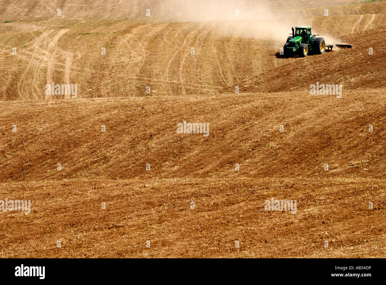 Israels Negev-Wüste kombinieren Harvester Weizen Ernte lange Mai 2007 erschossen Stockfoto