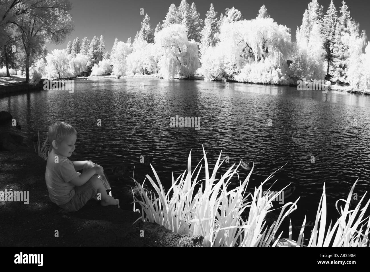 Zwei Jahre alter Junge am Teich Enten füttern sitzt Stockfoto