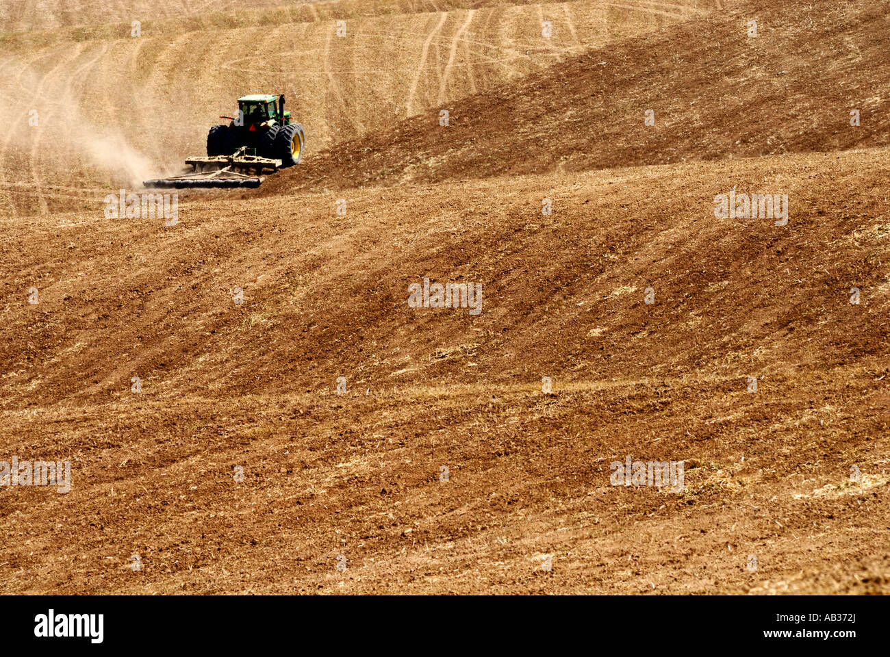 Israels Negev-Wüste kombinieren Harvester Weizen Ernte lange Mai 2007 erschossen Stockfoto