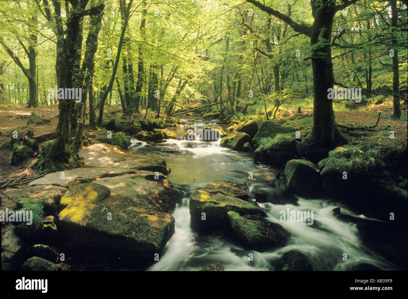 Golitha auf dem Fluss Fowey fällt in der Nähe von Bodmin Cornwall England UK Stockfoto