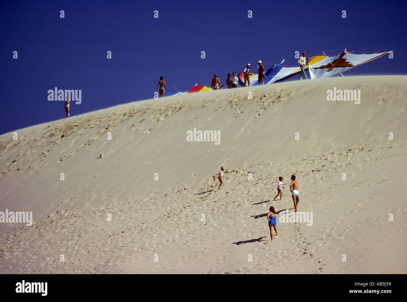 Hängegleiter auf Sanddünen in der Nähe von Botany Bay Sydney New South Wales Australien Stockfoto