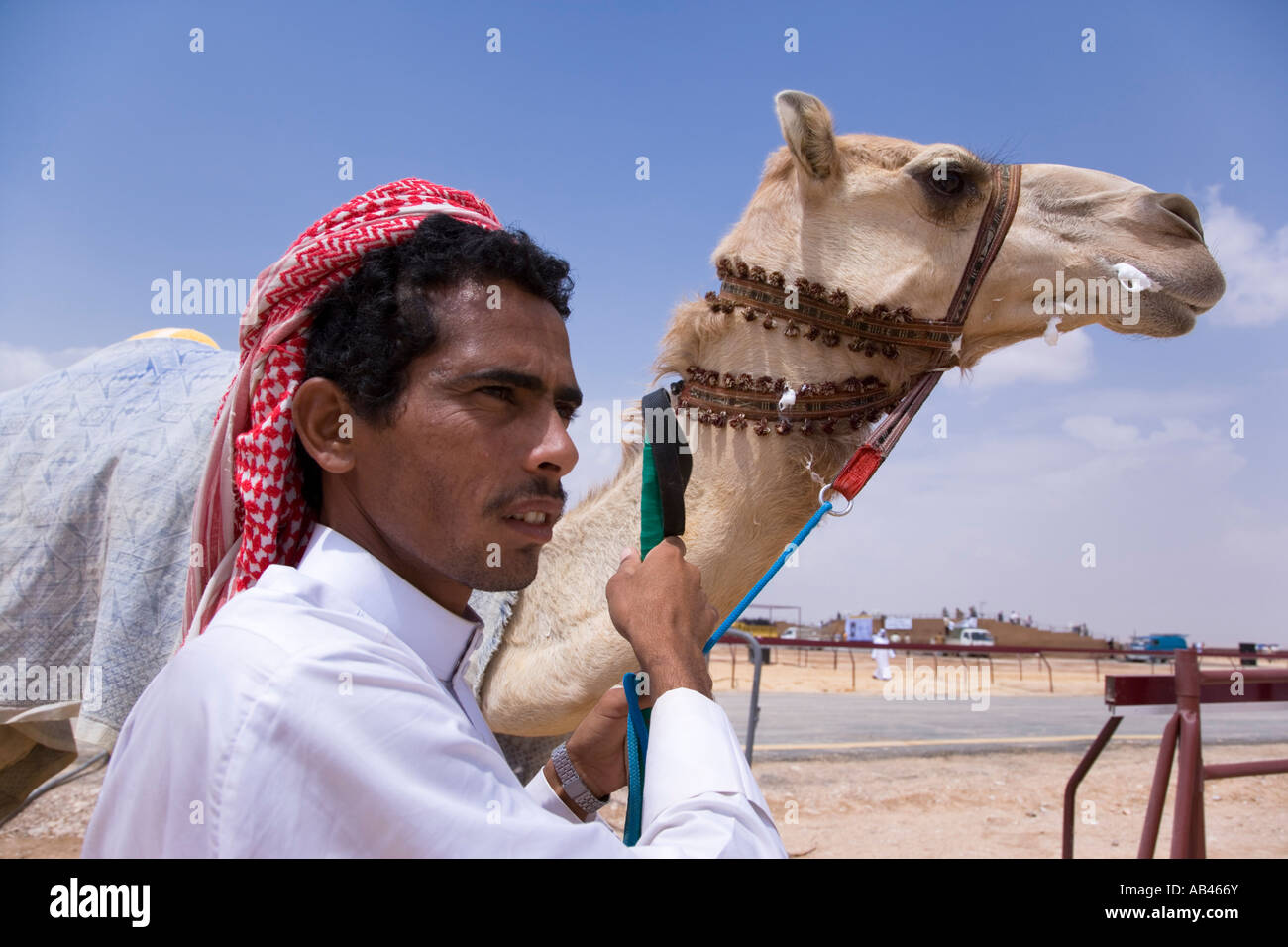 Das Kamel Rennen in Palmyra Syrien Stockfoto