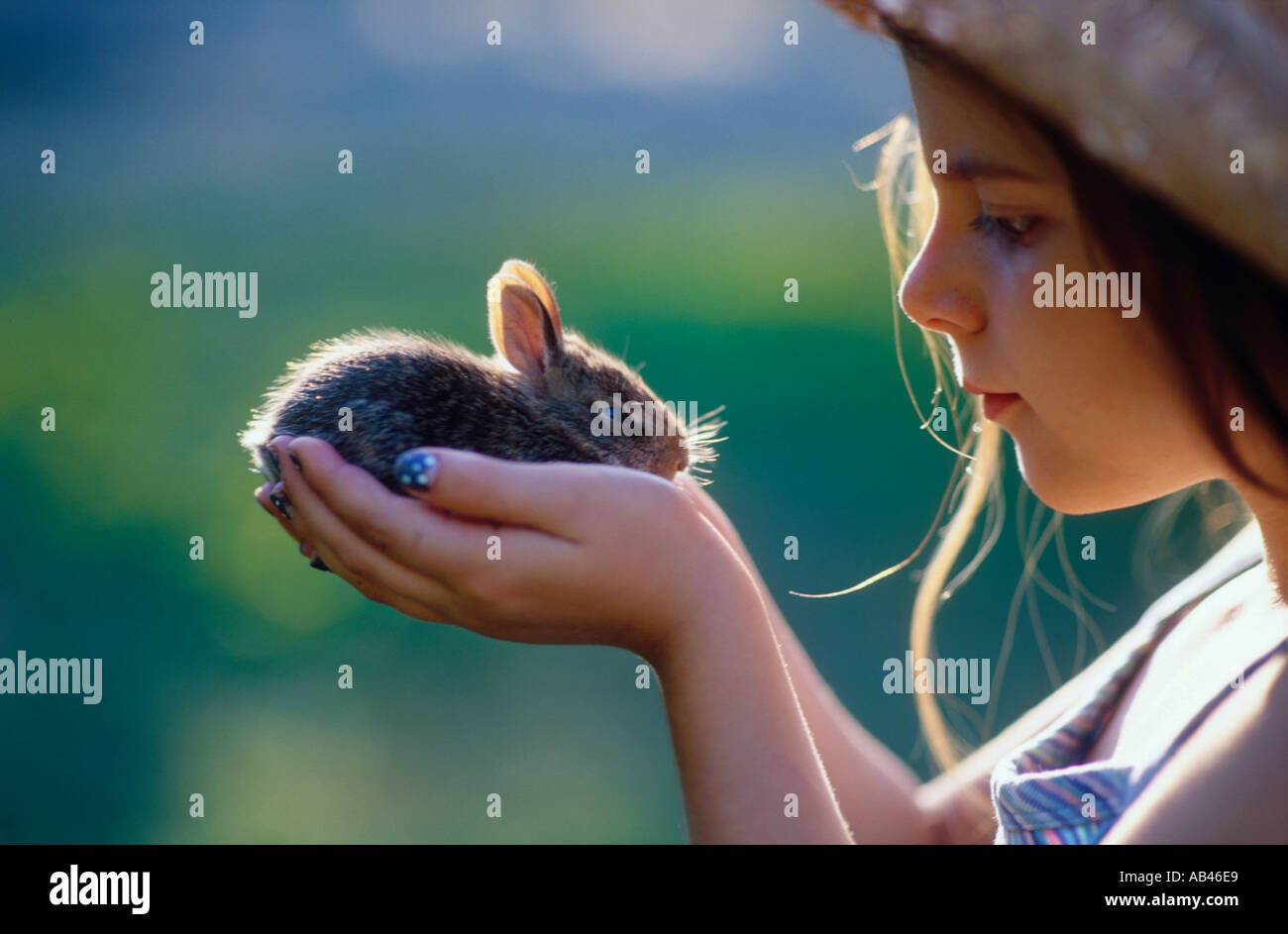 Profil von einem Mädchen halten junge Hasen hautnah Stockfoto