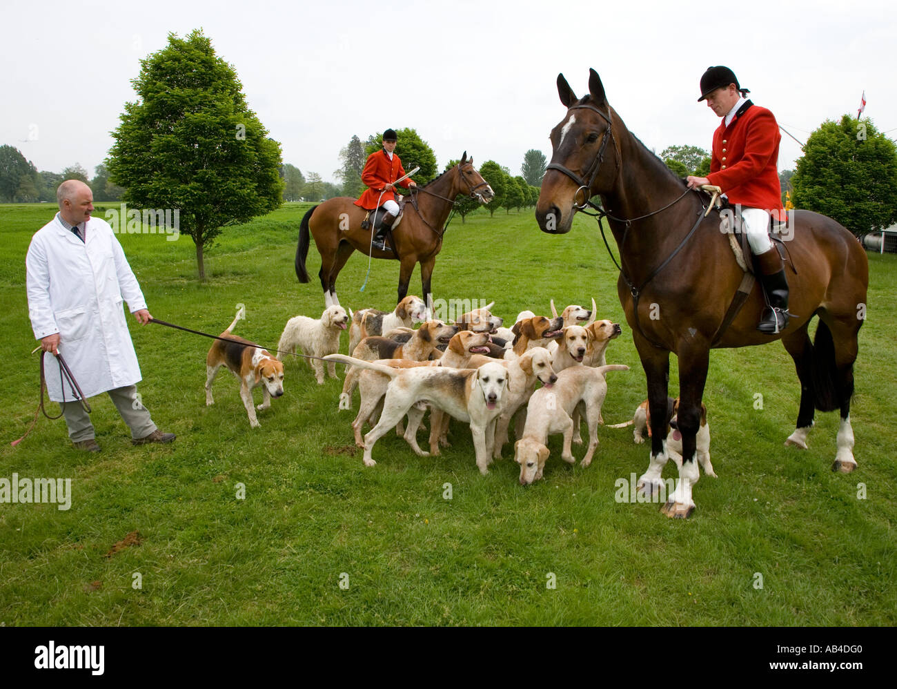 Jagdhunden von der Craven Jagd im Windsor Horse Show Berkshire Mai Stockfoto