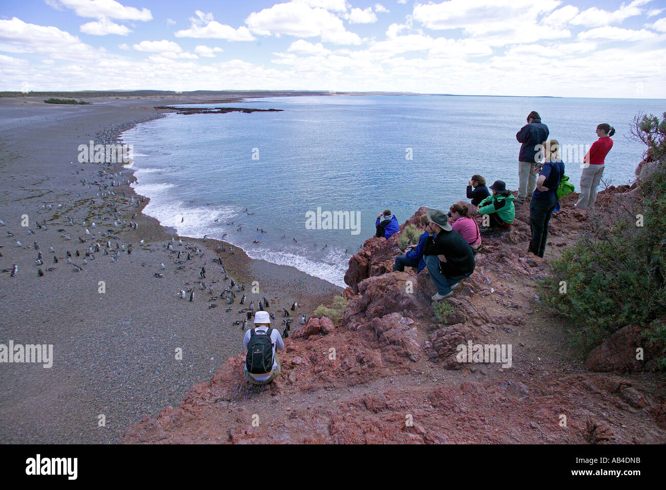 Touristen, die Anzeigen der Magellan-Pinguin-Kolonie und Fotografieren von einem Aussichtspunkt. Stockfoto