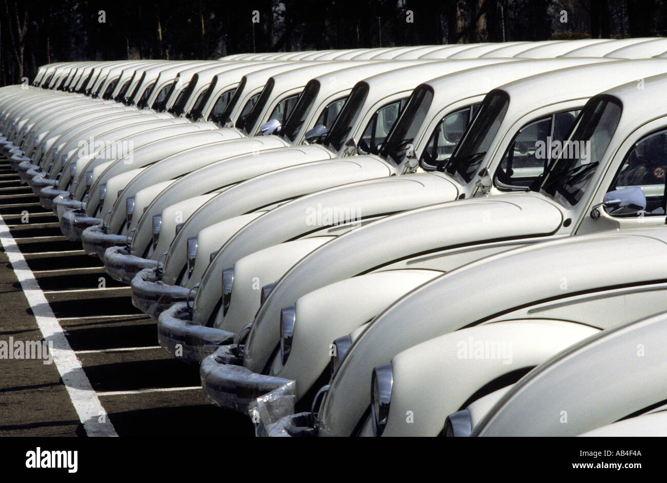 Volkswagen Käfer wartet auf Triebwagen für den Versand im VW-Werk im mexikanischen Puebla Puebla geladen werden Stockfoto