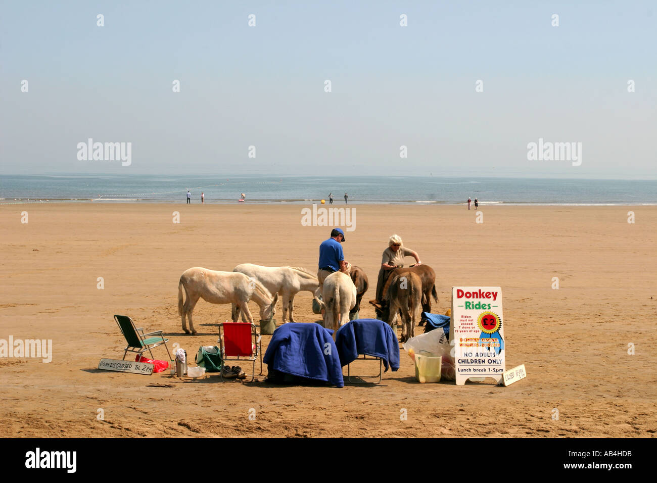 Eselreiten in Scarborough, Yorkshire, Großbritannien. Stockfoto