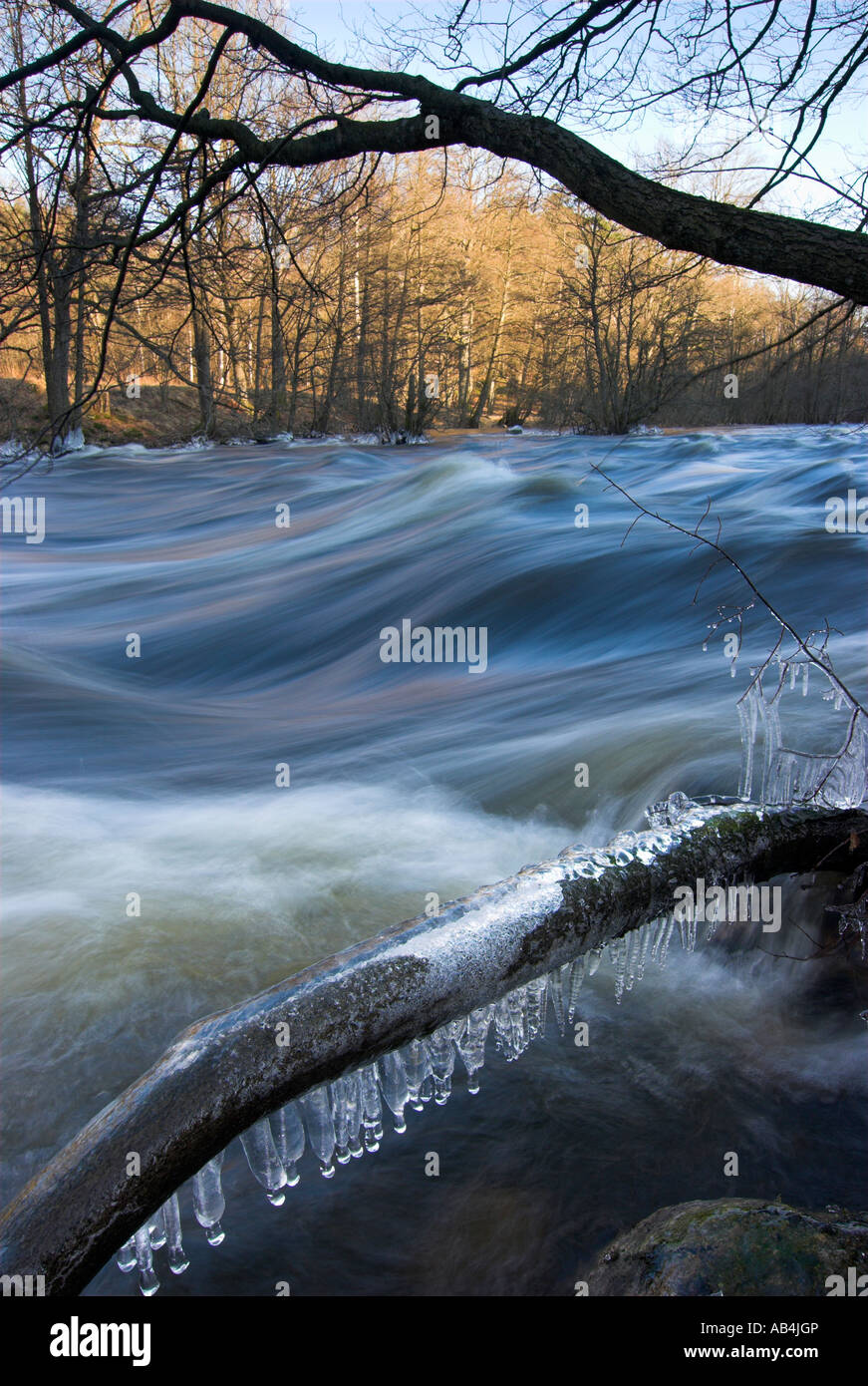 Eiszapfen auf Ast vor Fluss Stockfoto