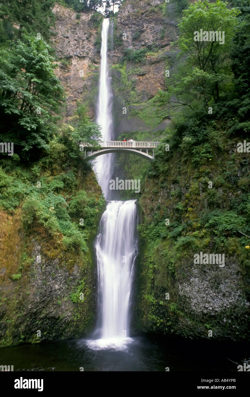 Multnomah malerischen Wasserfällen Oregon OR Stockfoto