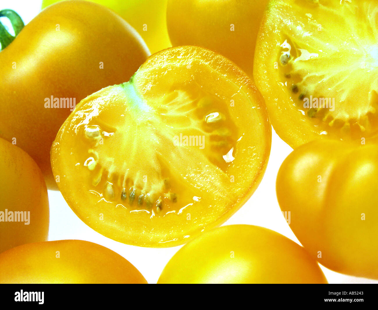 Gelbe Tomaten Golden Glow Sonne Sonnenschein Stockfoto