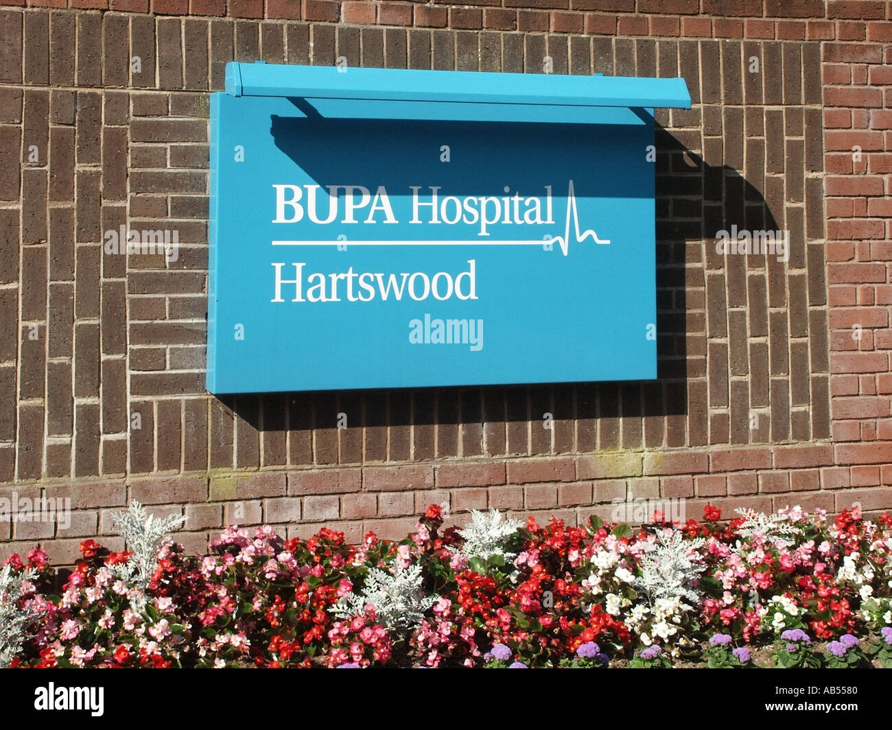 Warley Brentwood Essex BUPA Hartswood Krankenhaus mit Sommer Beetpflanzen Stockfoto