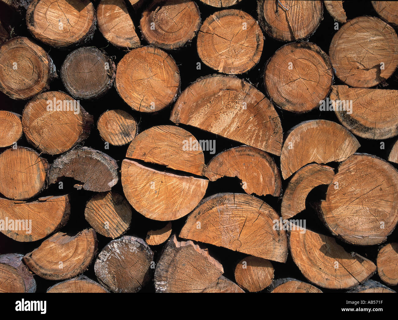 Haufen von Protokollen Stockfoto