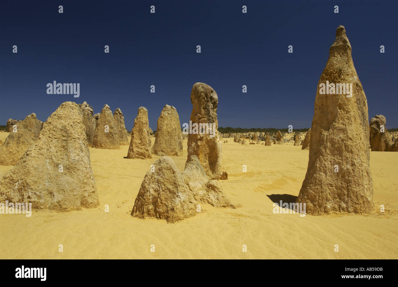 Pinnacles Desert in Westaustralien Stockfoto