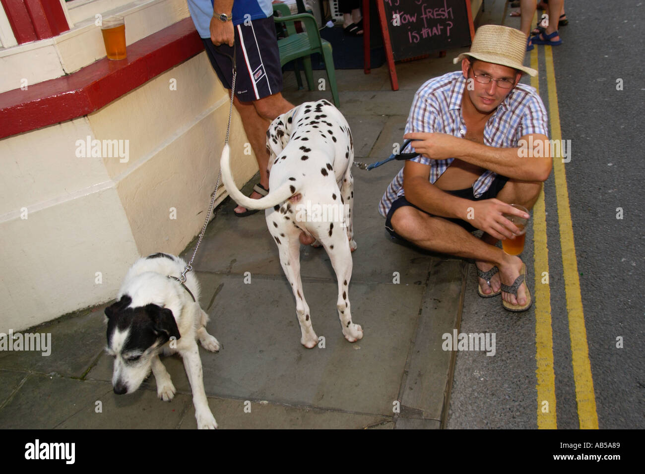 Besucher mit ihren Hunden sitzen am Straßenrand Bordstein des Brecon für das jährliche Jazz Festival Powys Mid Wales UK Stockfoto