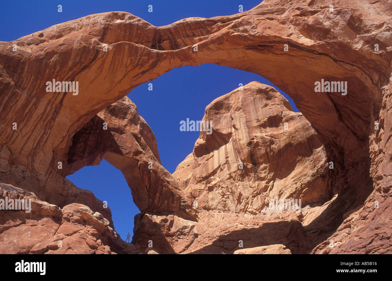 Double Arch Arches National Park Utah USA Stockfoto