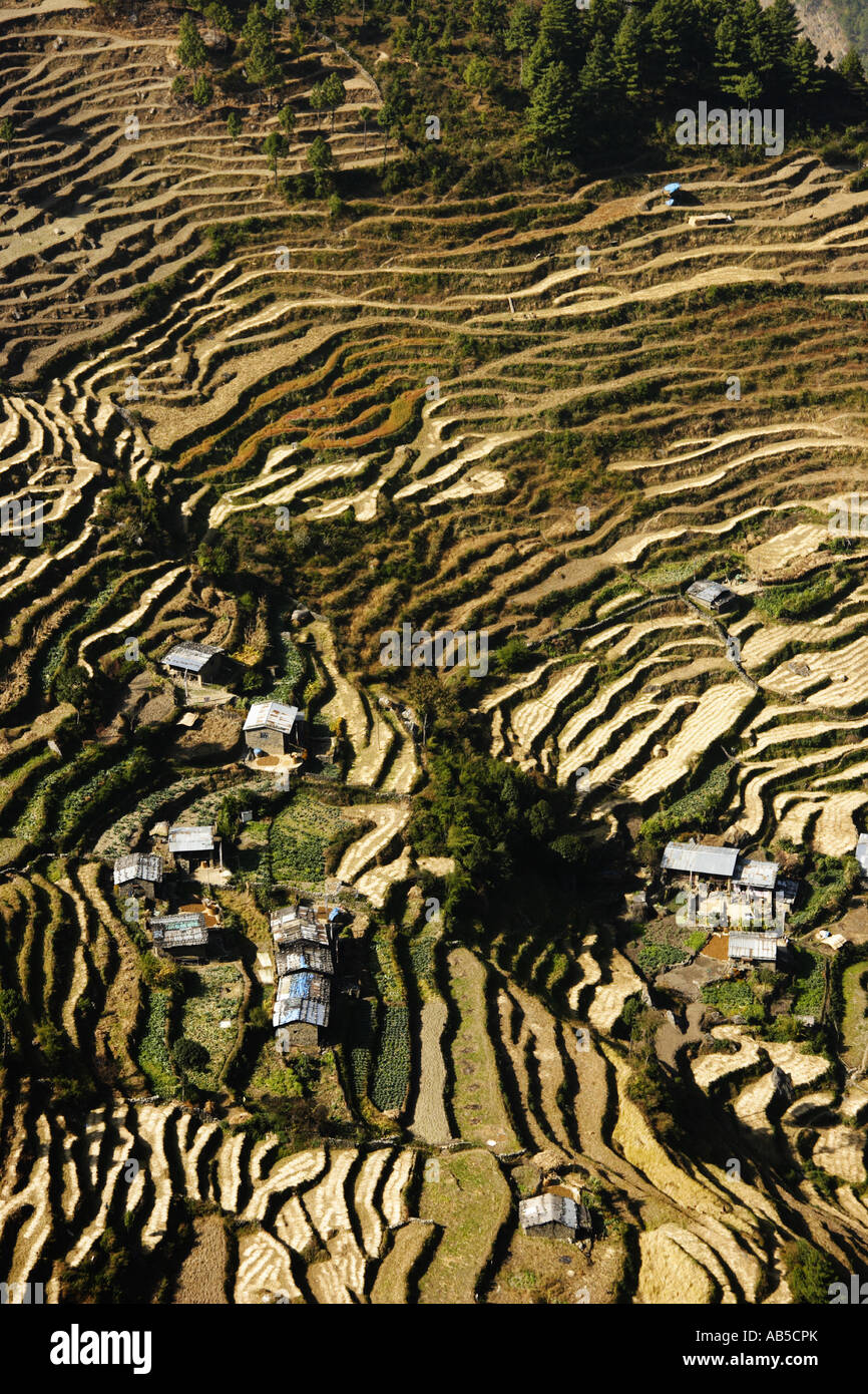 Terrasse-Felder in der nepalesischen Landschaft, Rasuwa Distrikt, November 2006 Stockfoto