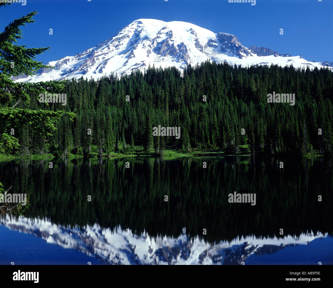 Mount Rainier und Spiegelung See in Mt Rainier National Park Washington State USA Stockfoto