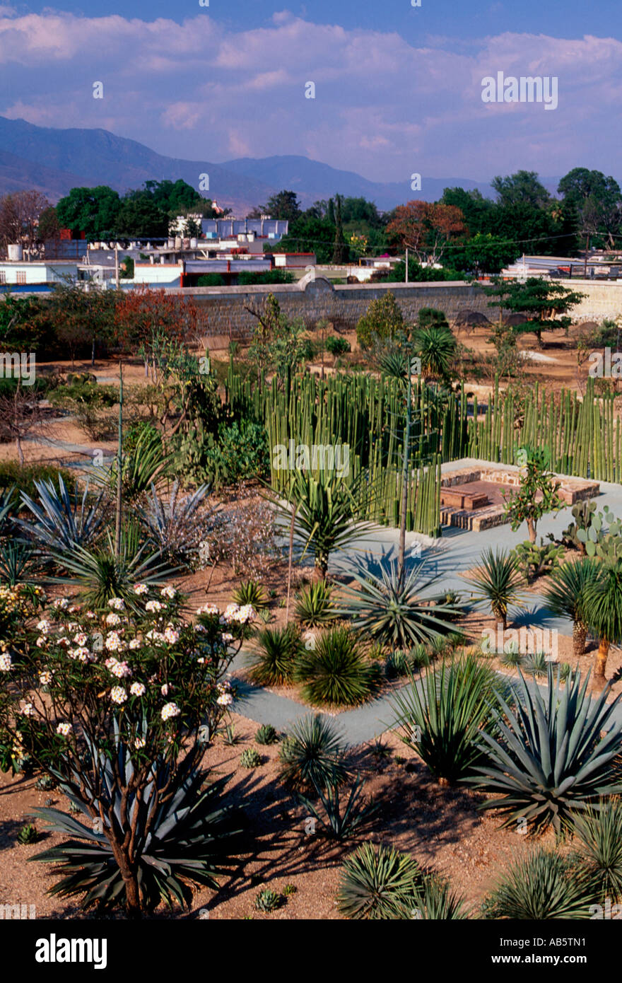 Botanischen Garten von Santo Domingo Cultural Center und