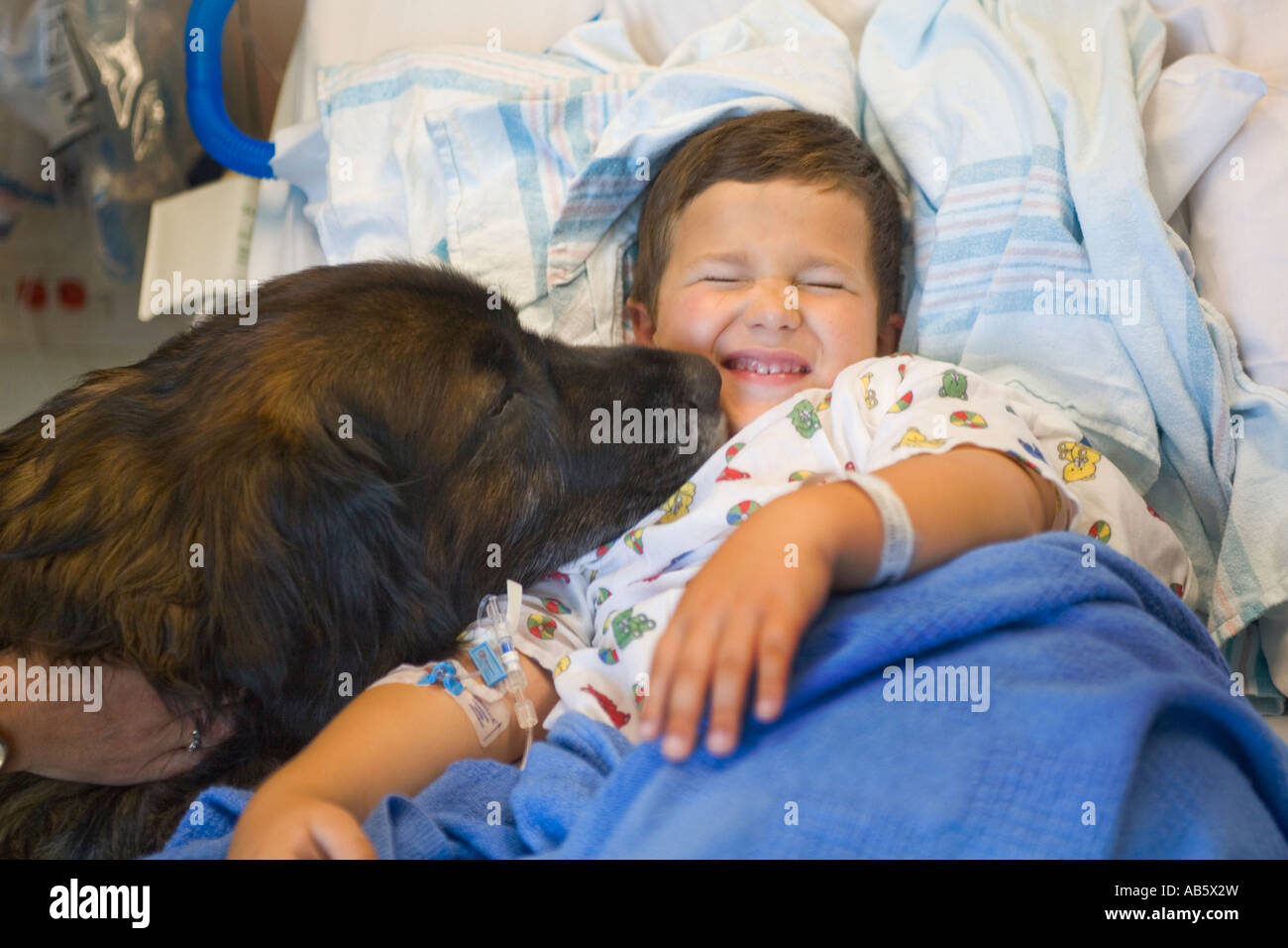 Ein 6-jähriger Junge bekommt ein Patient in einem Krankenhaus der Kinder in Mission Viejo CA eine freundliche lecken von einem speziell ausgebildeten Therapiehund Stockfoto