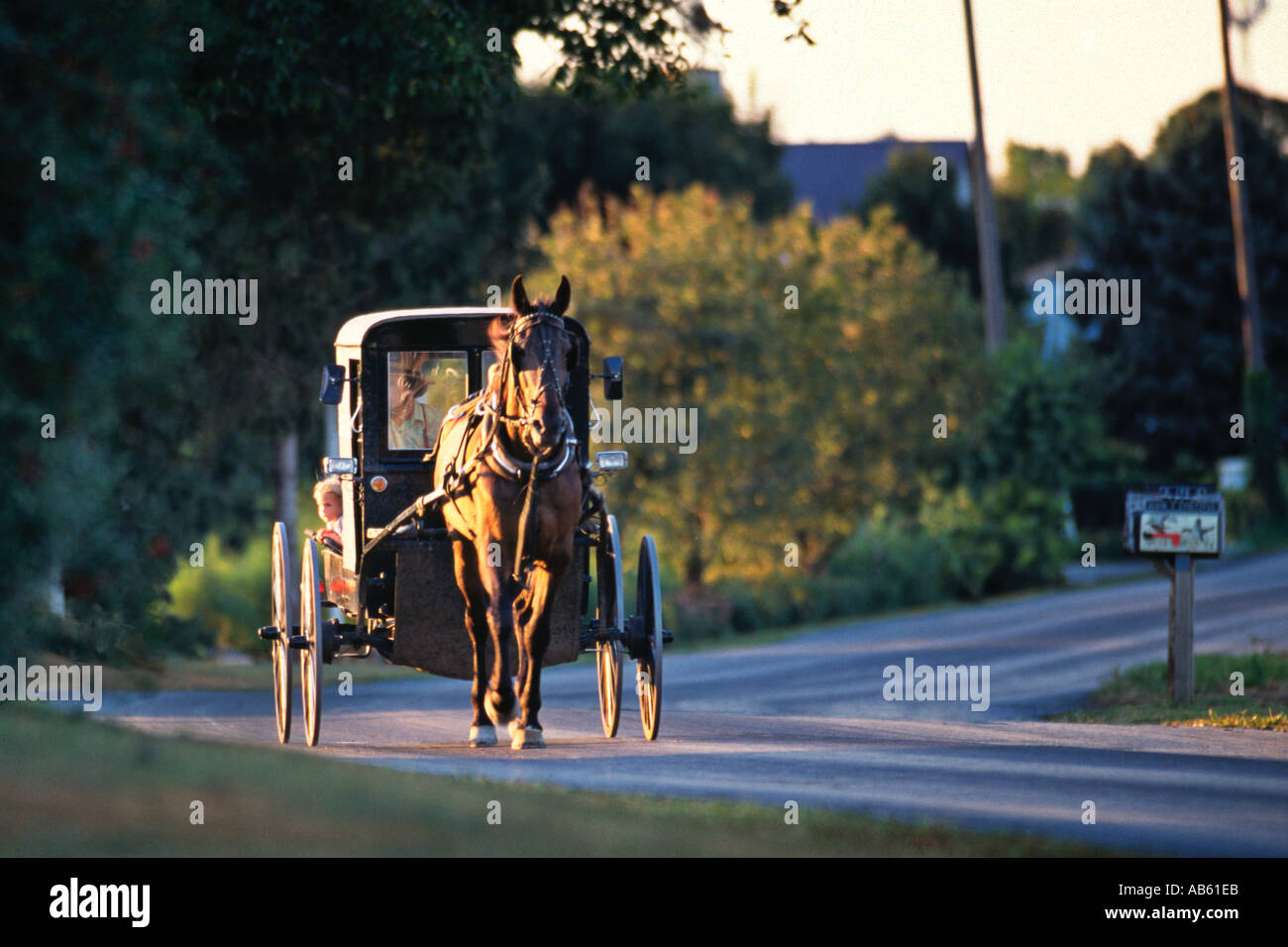 Kleines Kind schaut aus der Tür des amischen Buggy unterwegs Sonnenuntergang Lancaster County Pennsylvania Stockfoto