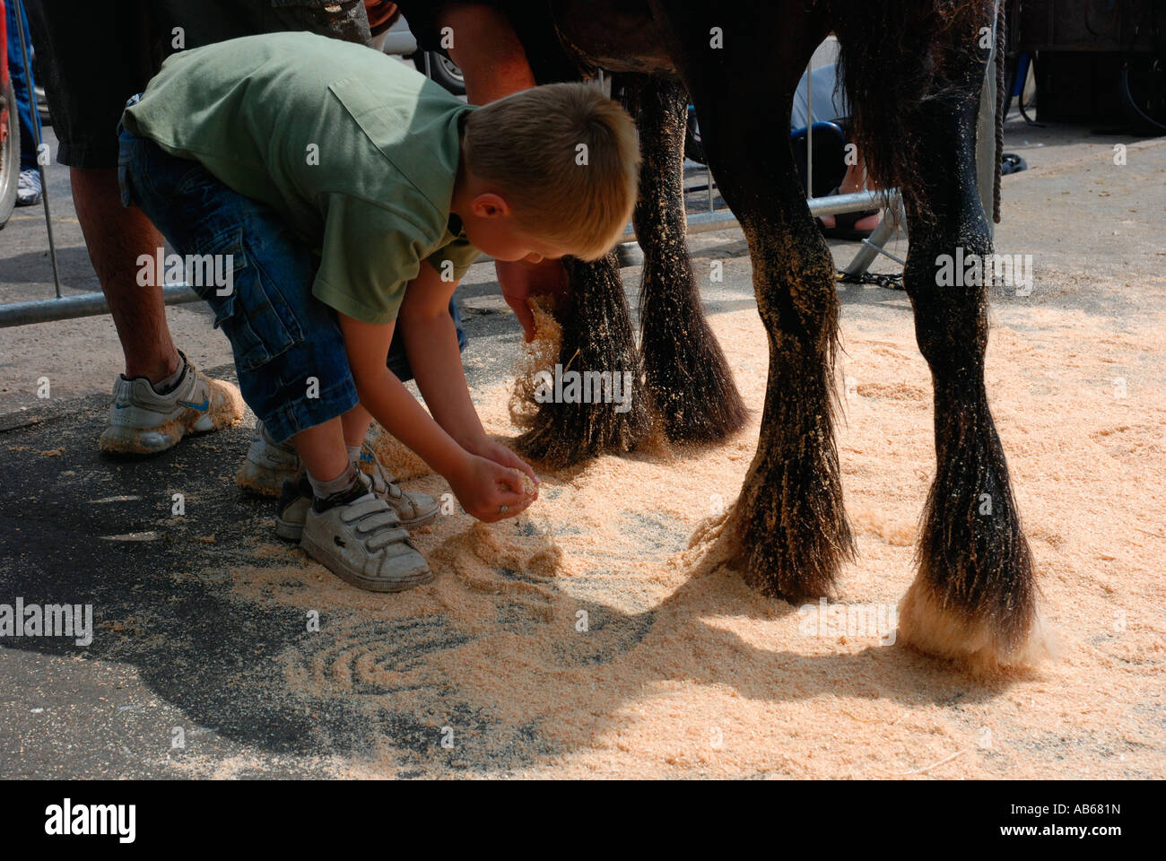 Sägemehl auf Pferde Füße Stockfoto Sägemehl auf Pferde Füße Stockfoto