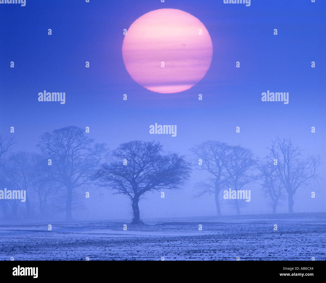 GB - GLOUCESTERSHIRE: Winter Sonnenuntergang in den Cotswolds Stockfoto