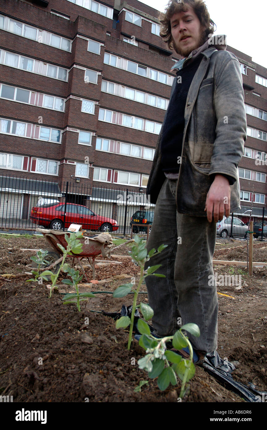 Boden vorbereiten und Anbau von Gemüse in innerstädtischen städtischen Garten Zuteilung. Stockfoto