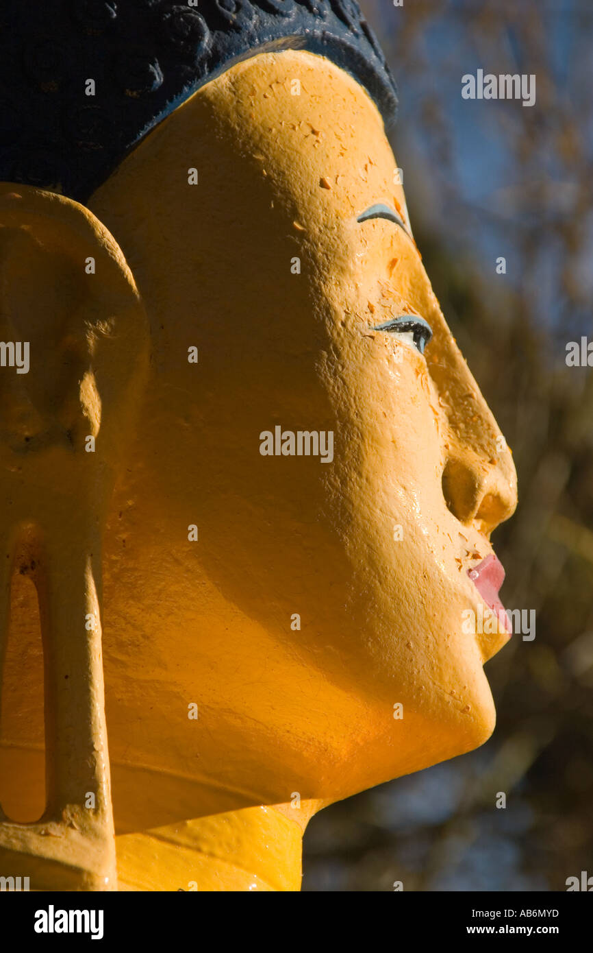 Statue von Sakyamuni, Porträt Stockfoto