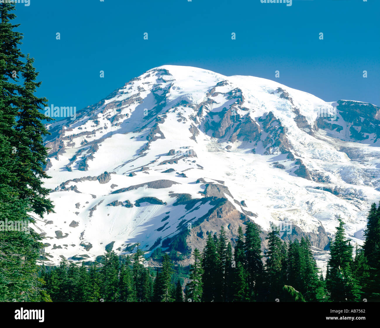 Mount Rainier in Mt Rainier National Park Washington State USA Stockfoto